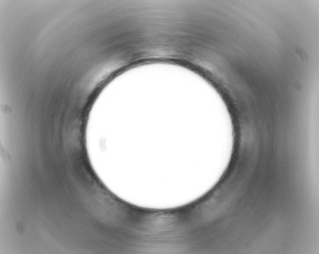 X0000091351314200708101030