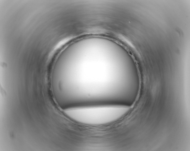 X0000091351315200708101030