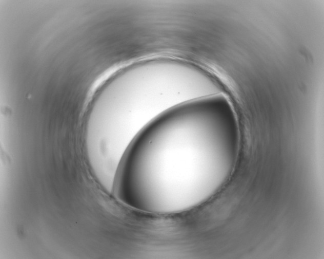 X0000091351316200708101030