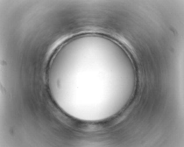 X0000091351318200708101030