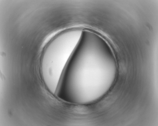 X0000091351319200708101030