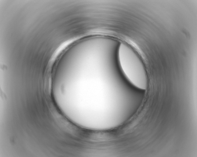 X0000091351323200708101030