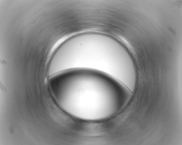 X0000091351324200708101030
