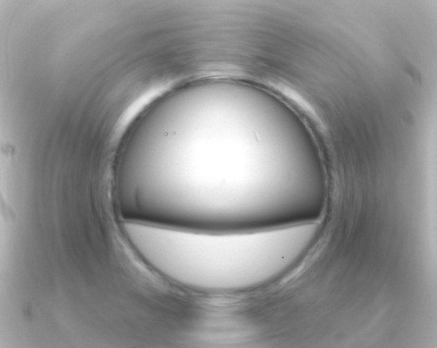 X0000091351325200708101030