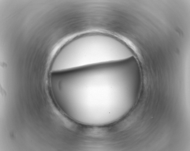 X0000091351327200708101030