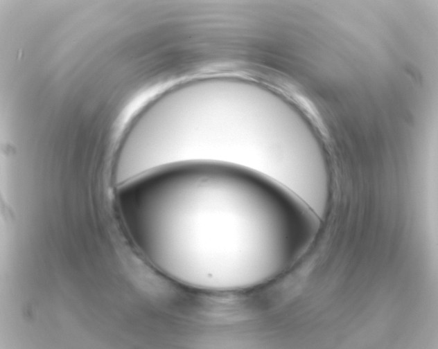 X0000091351328200708101030
