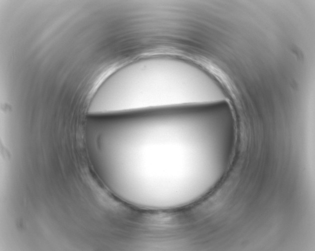 X0000091351329200708101030