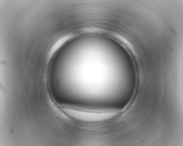 X0000091351330200708101030