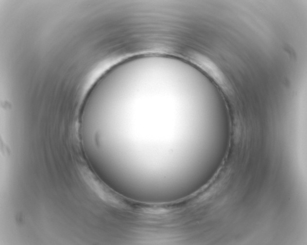 X0000091351332200708101030