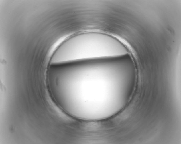 X0000091351333200708101030