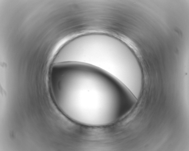 X0000091351334200708101030