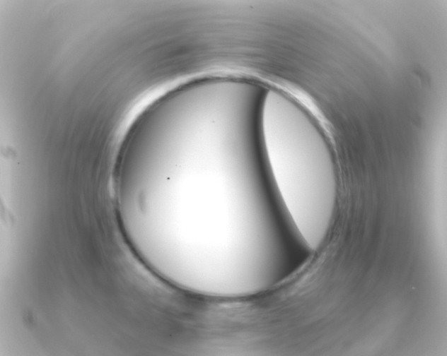X0000091351335200708101030