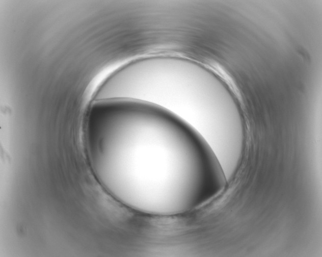 X0000091351336200708101030