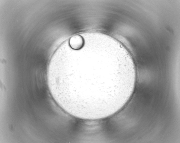 X0000091351338200708101030