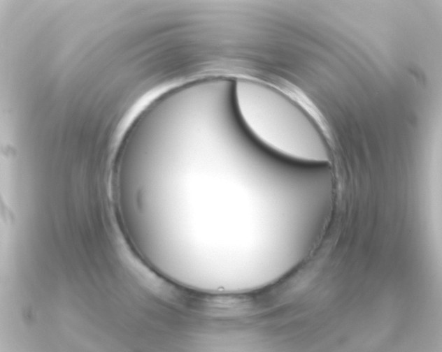 X0000091351339200708101030