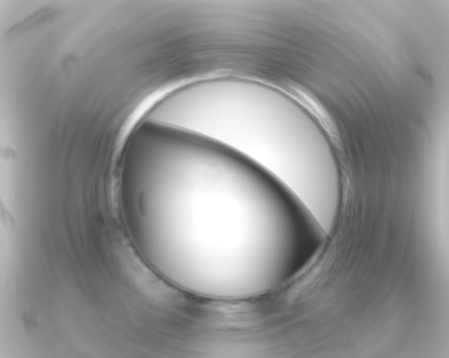 X0000091351340200708101030