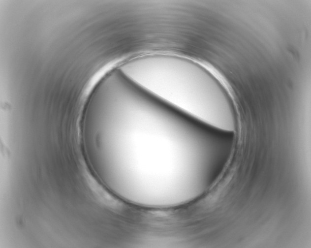 X0000091351341200708101030