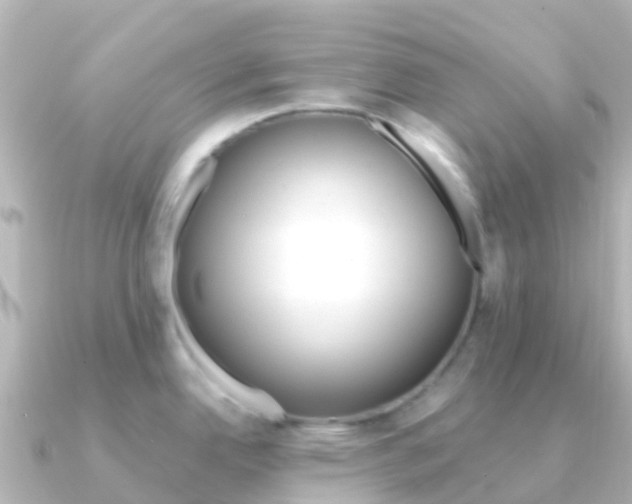 X0000091351342200708101030
