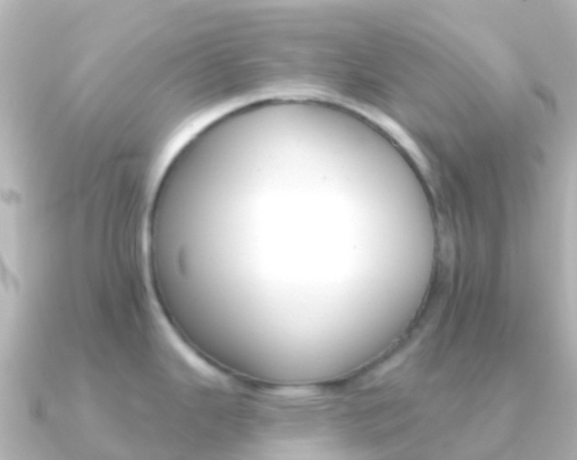 X0000091351343200708101030