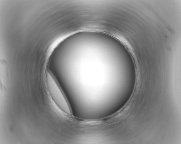 X0000091351344200708101030