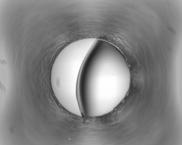 X0000091351345200708101030