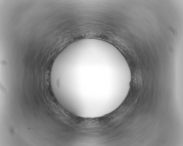 X0000091351346200708101030