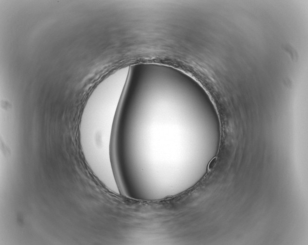 X0000091351349200708101030