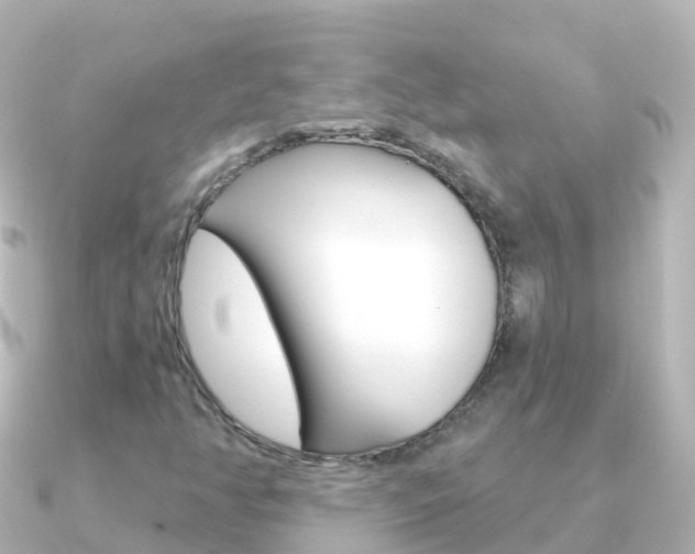 X0000091351350200708101030