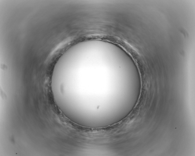 X0000091351351200708101030