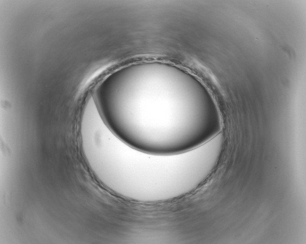 X0000091351352200708101030