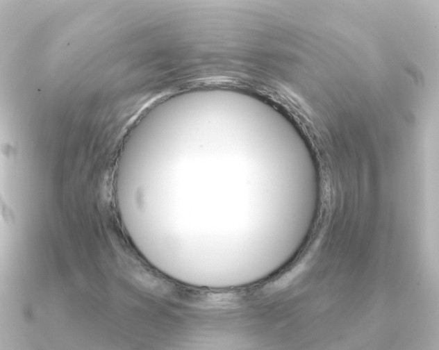 X0000091351353200708101030