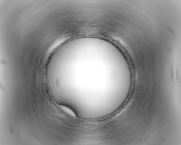 X0000091351354200708101030