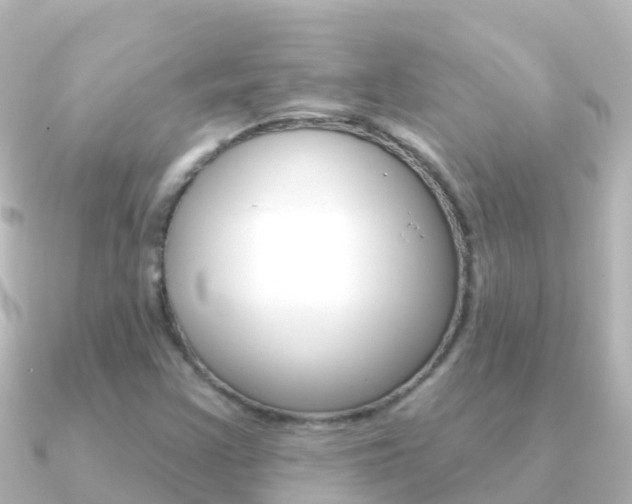 X0000091351355200708101030
