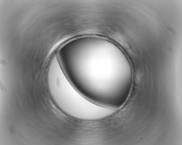 X0000091351356200708101029