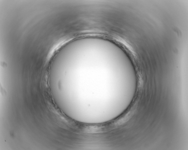 X0000091351357200708101029