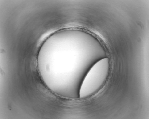 X0000091351358200708101029