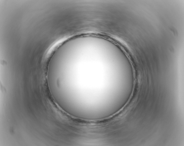 X0000091351359200708101029