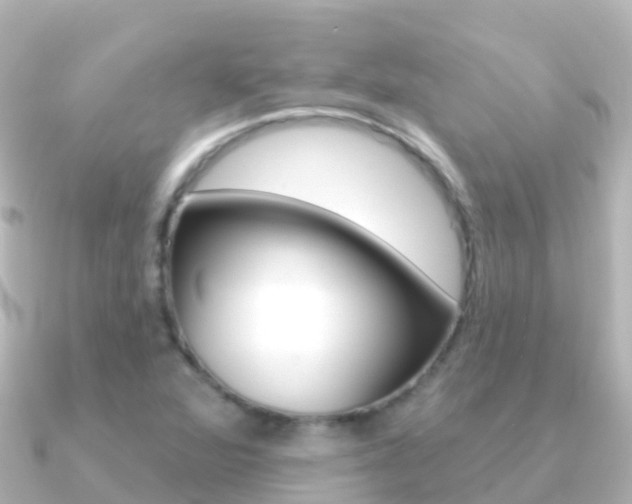 X0000091351360200708101029