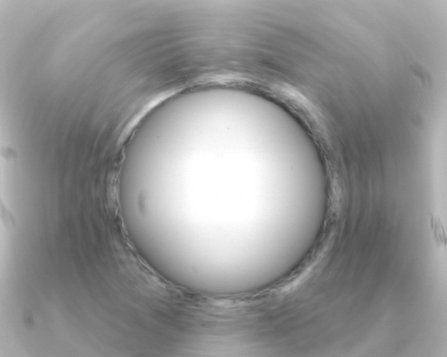 X0000091351361200708101029