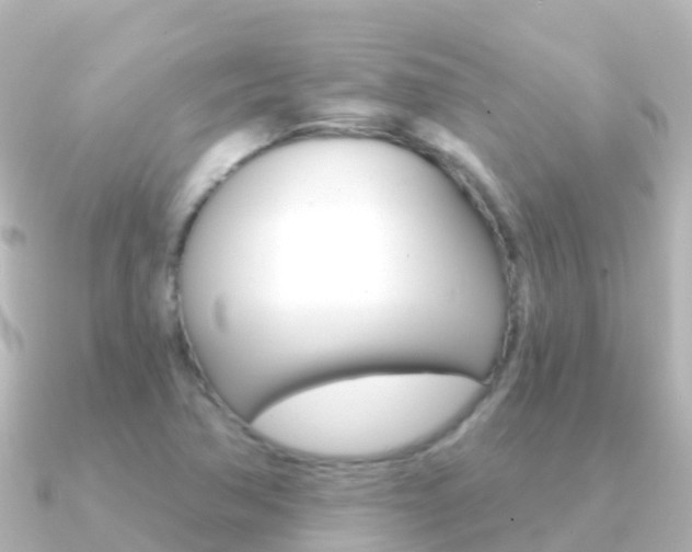 X0000091351362200708101029