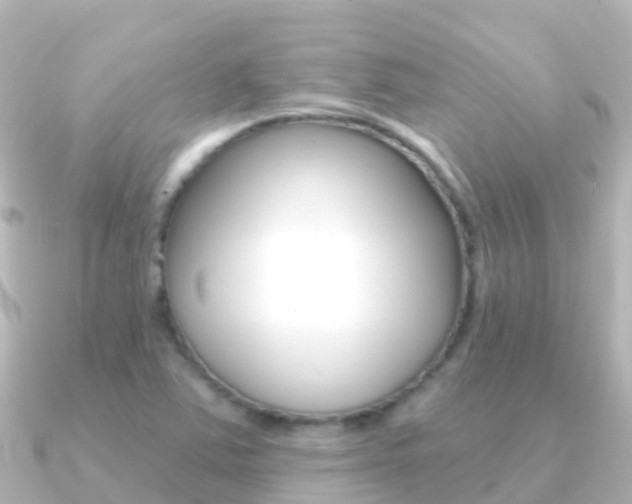 X0000091351363200708101029