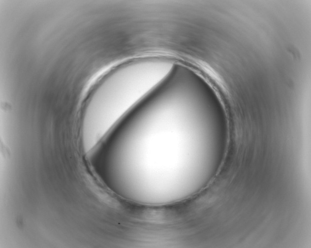 X0000091351364200708101029