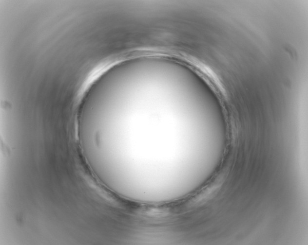 X0000091351365200708101029