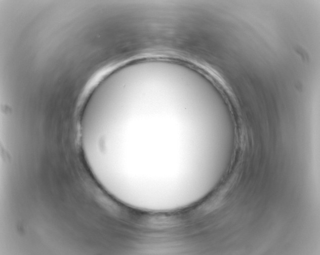 X0000091351366200708101029