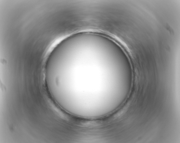 X0000091351367200708101029