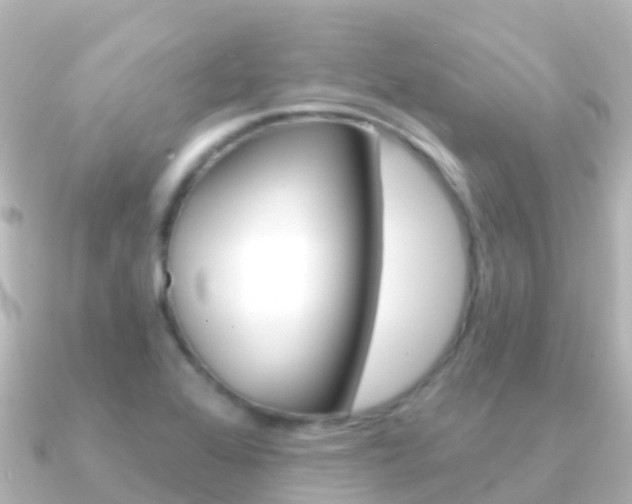 X0000091351368200708101029