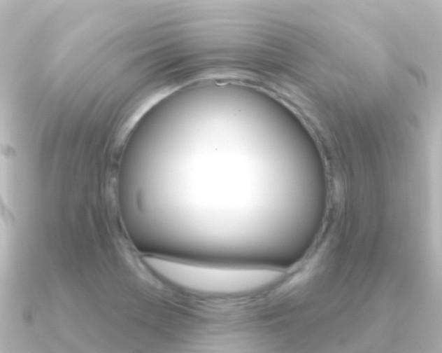 X0000091351369200708101029