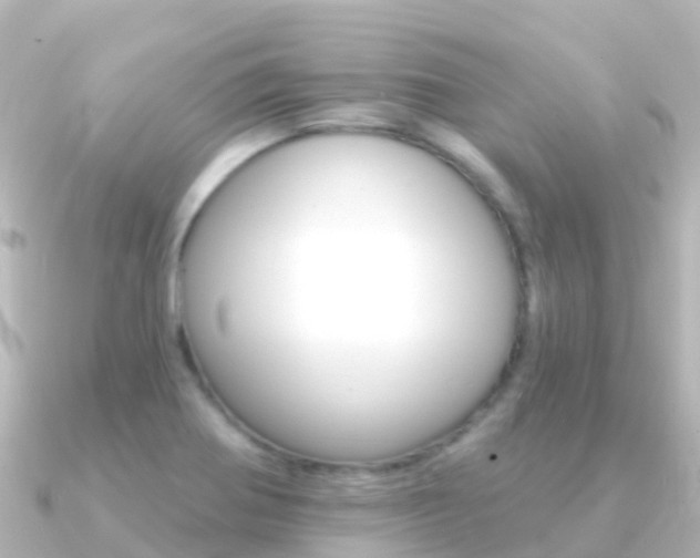 X0000091351370200708101029