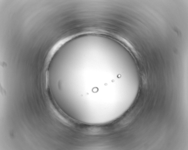 X0000091351371200708101029