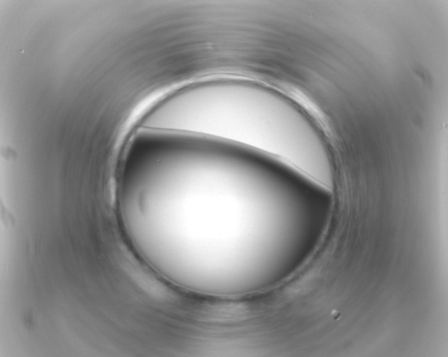 X0000091351372200708101029